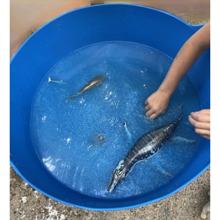 Bac Sensoriel Souple 35L | Jeux d'Eau et de Sable | LesMinis