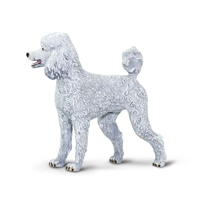 Figurine Chien Caniche - Safari Ltd® 100063 | Matériel pédagogique | Enrichissement Montessori