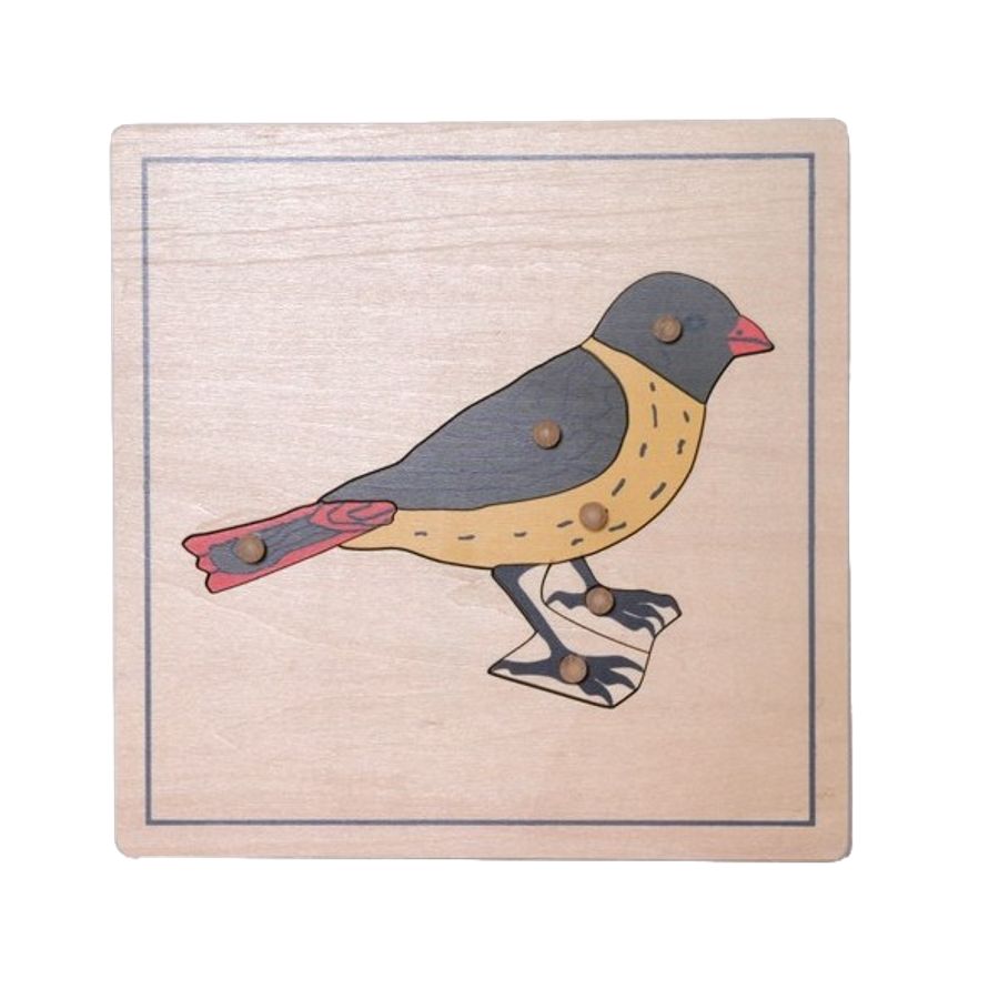 Puzzle Anatomie de l'Oiseau Montessori | Biologie 5-12 ans