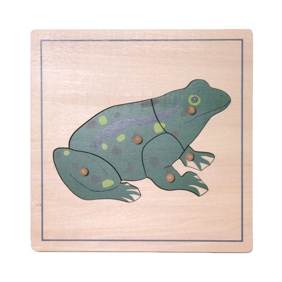 Puzzle Tortue de Mer Montessori | Découverte Marine 3-6 ans