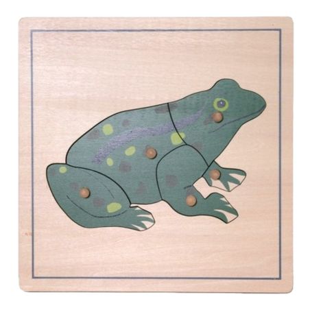 Puzzle Tortue de Mer Montessori | Découverte Marine 3-6 ans