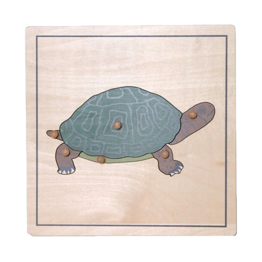 Puzzle Montessori de la Tortue