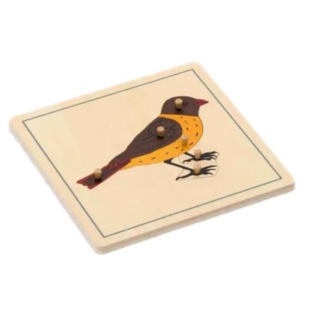 Puzzle Anatomie de l'Oiseau Montessori | Biologie 5-12 ans