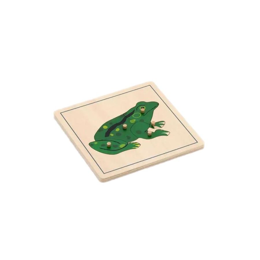 Puzzle Tortue de Mer Montessori | Découverte Marine 3-6 ans