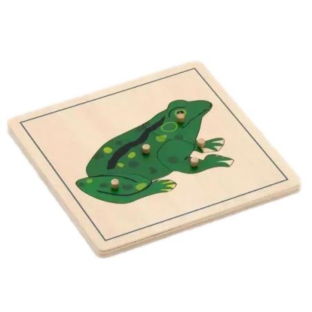 Puzzle Tortue de Mer Montessori | Découverte Marine 3-6 ans