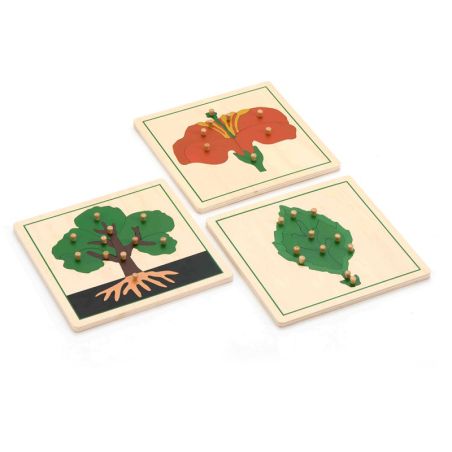 Set de 3 Puzzles Botaniques Montessori | Arbre, Fleur, Feuille | 3-8 ans