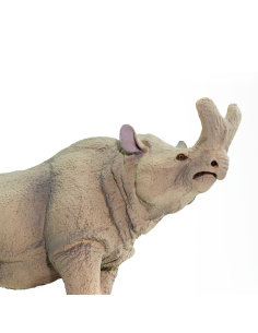 Megacerops Safari 100084 - La bête du tonnerre de l'Éocène 2