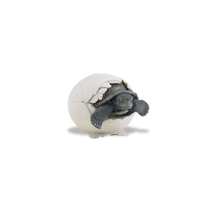 Figurine Bébé Tortue en Éclosion – Outil Éducatif | Safari Ltd®