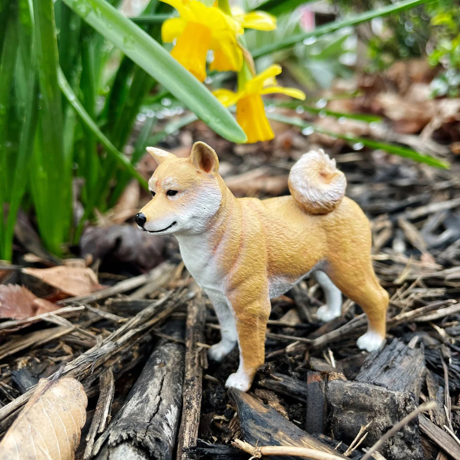 Figurine Shiba Inu – Animaux de Compagnie | Safari Ltd®