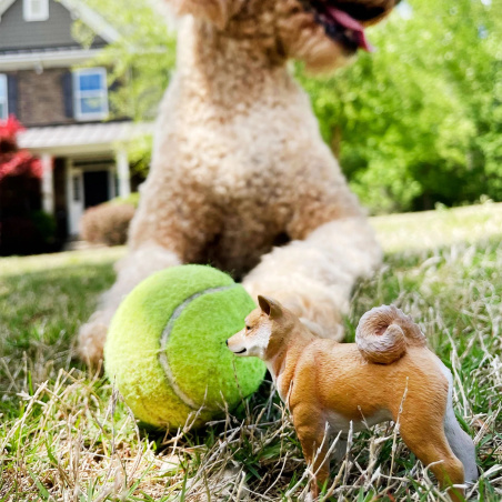 Figurine Shiba Inu – Animaux de Compagnie | Safari Ltd®