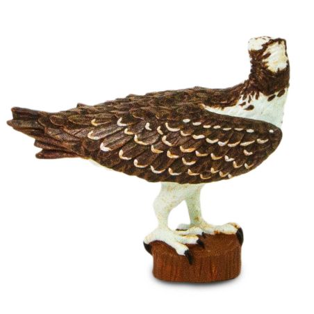 Figurine Balbuzard Pêcheur (Pandion haliaetus) – Oiseaux Sauvages | Safari Ltd®