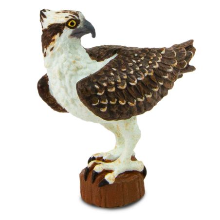 Figurine Balbuzard Pêcheur (Pandion haliaetus) – Oiseaux Sauvages | Safari Ltd®