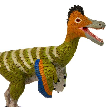 Figurine Dinosaure Austroraptor – Dinosaures Théropodes | Safari Ltd®
