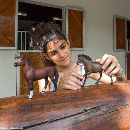 Figurine Cheval  Morgan Stallion - Safari Ltd® 153105 | Jouet réaliste | Matériel pédagogiqueAnimaux Montessori