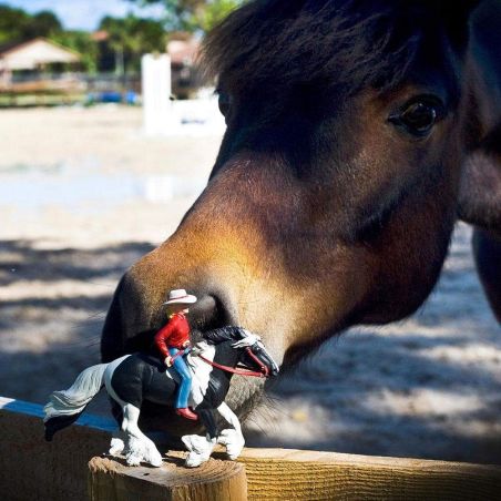 Figurine Femme sur cheval - Safari Ltd® 154005 | Jouet réaliste | Matériel pédagogiqueAnimaux Montessori