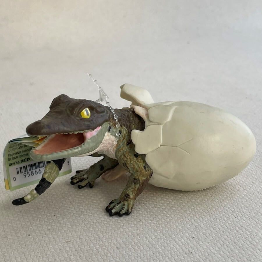 Figurine Crocodile naissant Safari Ltd | Scène de naissance détaillée