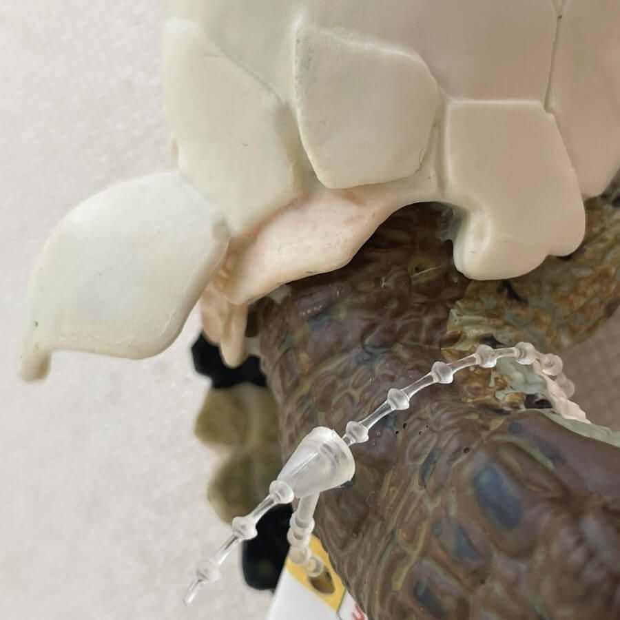 Figurine Crocodile naissant Safari Ltd | Scène de naissance détaillée