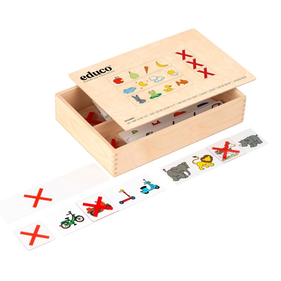Jeu éducatif "Cherchez l’intrus" - Développement des compétences d'observation et de langage Educo