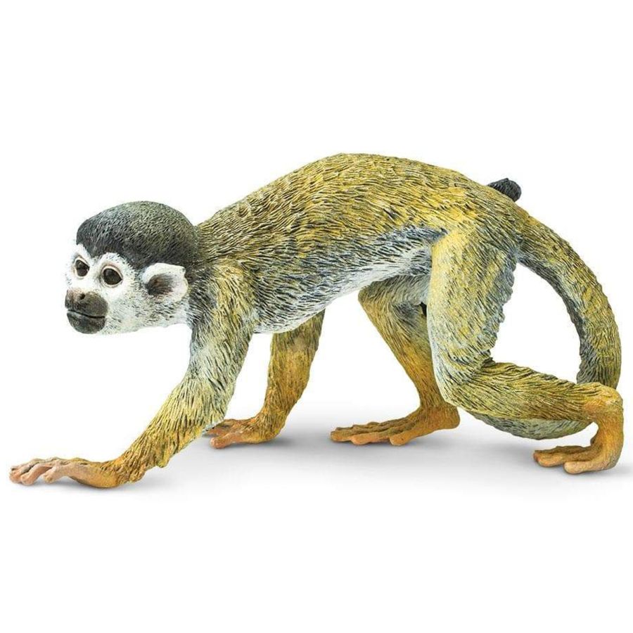 Figurine Singe Écureuil Safari Ltd® – Animaux Sauvages