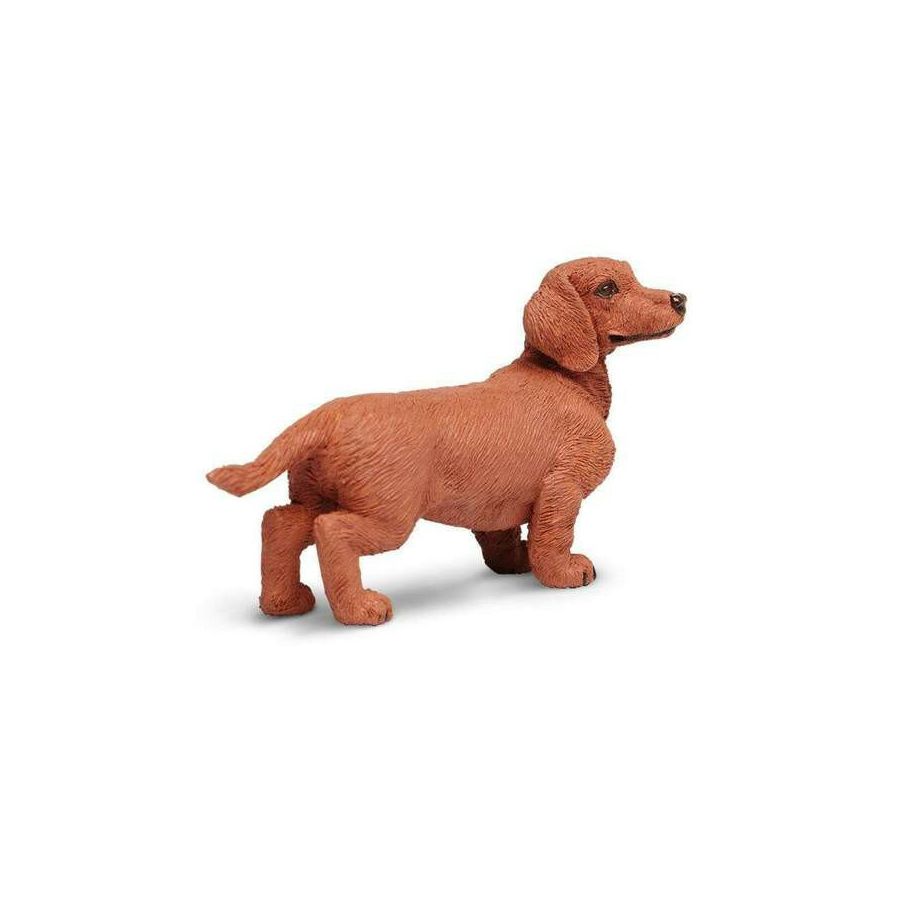 Figurine Teckel Safari Ltd® – Chien Domestique Réaliste