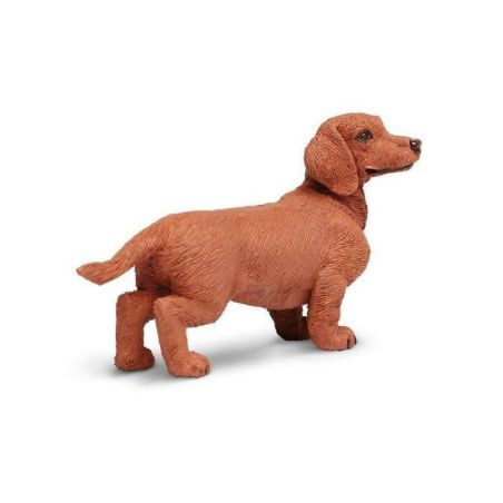 Figurine Teckel Safari Ltd® – Chien Domestique Réaliste