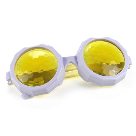 Lunettes Vision d’Insecte – Expérience Visuelle Ludique pour Enfants