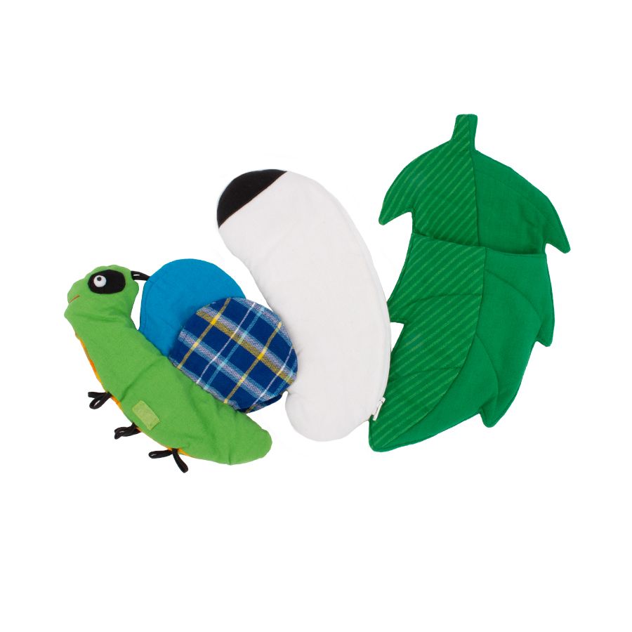 Cycle de Vie des Papillons – Modèle en Tissu Éducatif et Ludique