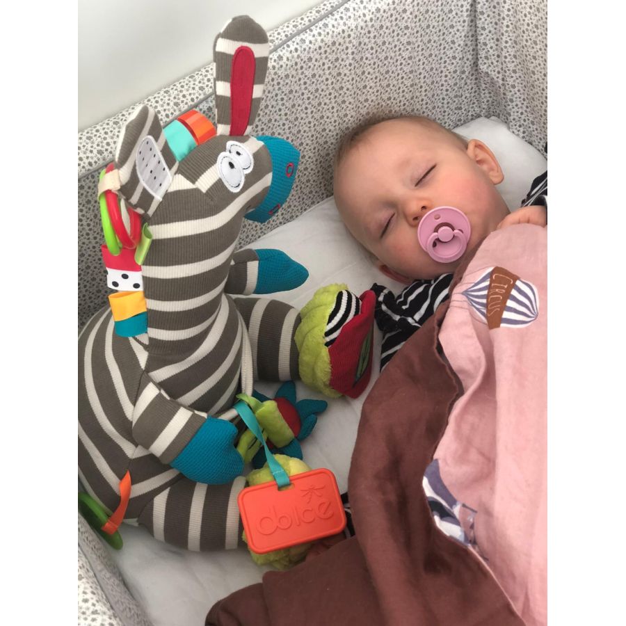 Zeddy le Zèbre - Peluche d'activité 25 cm pour bébé