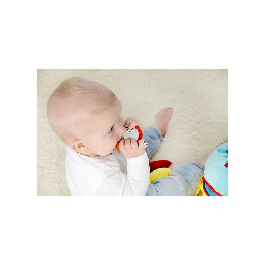 Wallie la Baleine - Peluche d'Activité Classique | Dolce Toys