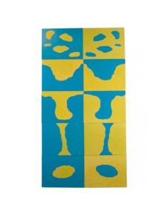 Cartes de Formes de Terre et d'Eau Montessori : Exploration Géographique Sensorielle