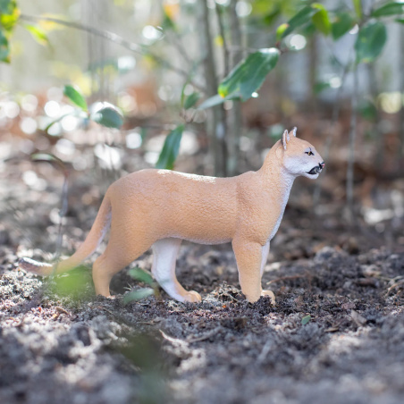 Figurine Panthère de Floride (Puma concolor coryi) – Safari Ltd® XL 23 cm