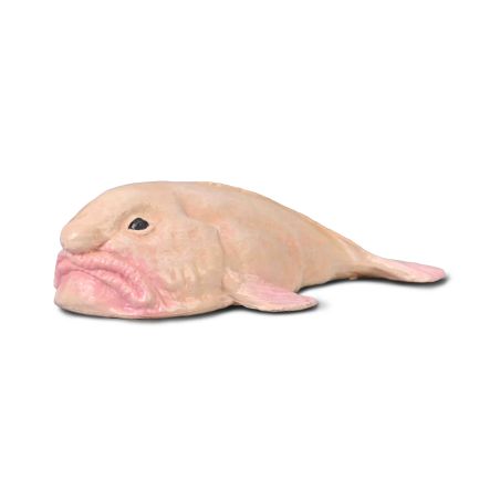 Poisson-goutte CollectA 80037 | Figurine Blobfish Réaliste