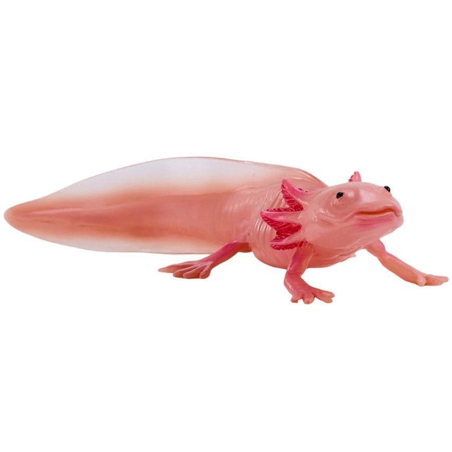 Axolotl Mojo 381108 | Figurine Amphibien Collection 2025