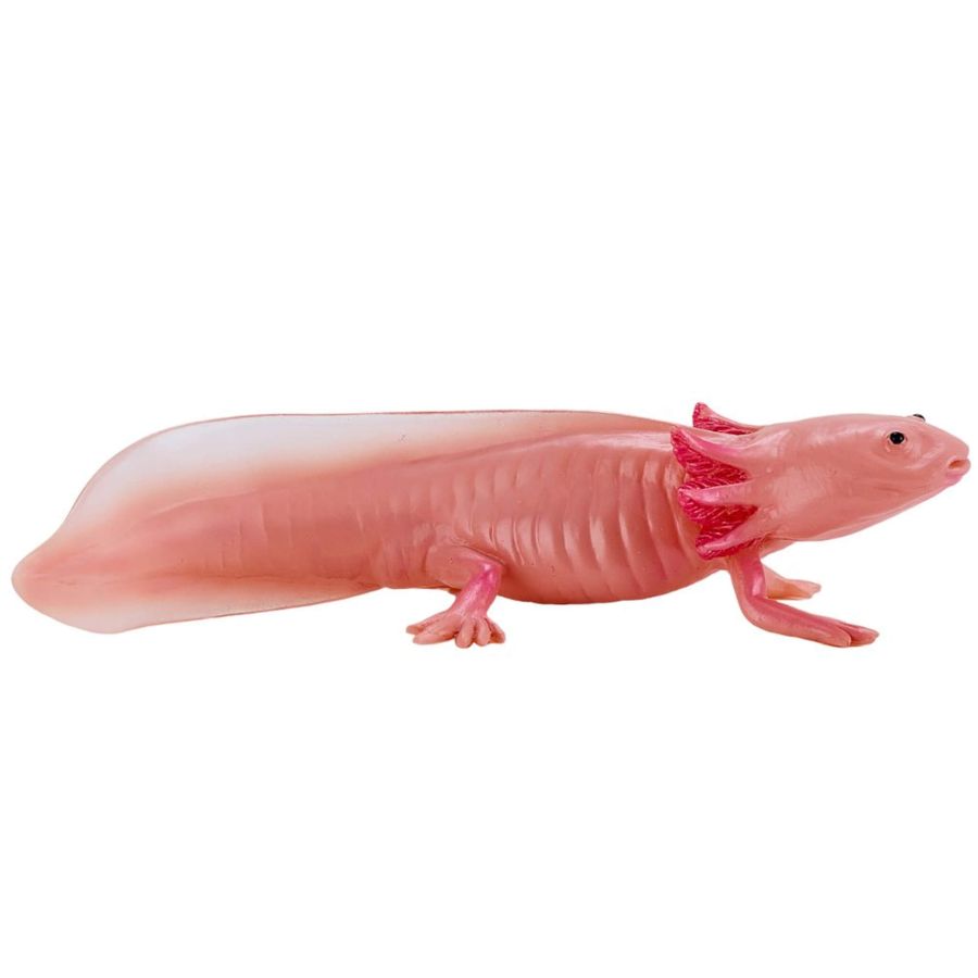 Axolotl Mojo 381108 | Figurine Amphibien Collection 2025