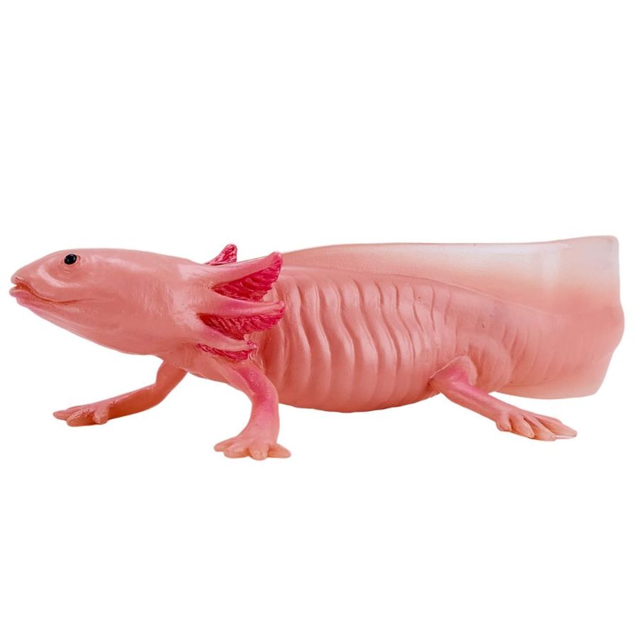 Axolotl Mojo 381108 | Figurine Amphibien Collection 2025