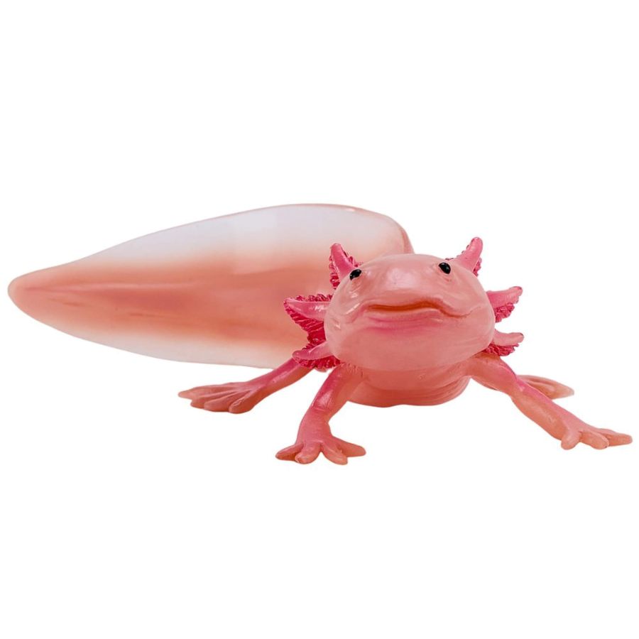 Axolotl Mojo 381108 | Figurine Amphibien Collection 2025