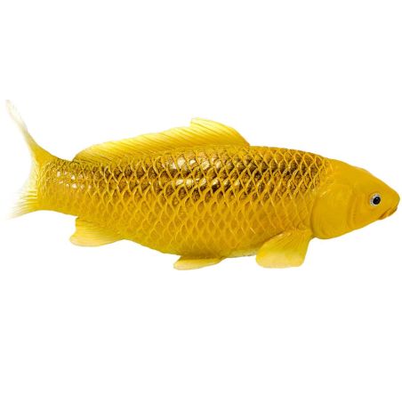 Carpe Koï Kin Matsuba Mojo 381105 | Figurine Collection Poisson Japonais