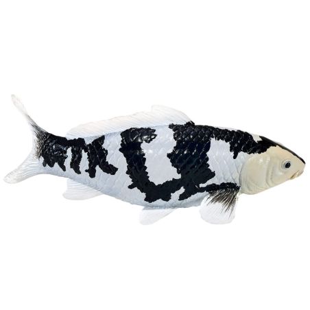 Carpe Koï Shiro Utsuri Mojo 381102 | Figurine Collection Poisson Japonais