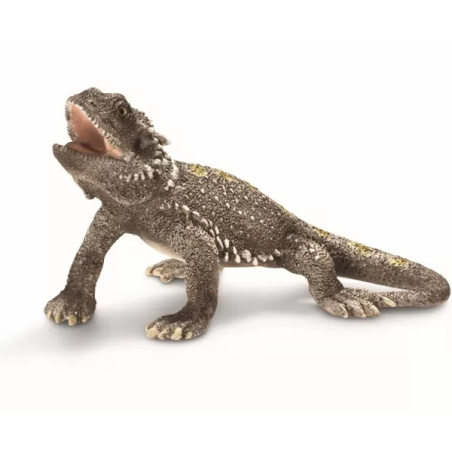 Figurine Lézard Agame Barbu Schleich | Collector Retiré 14675