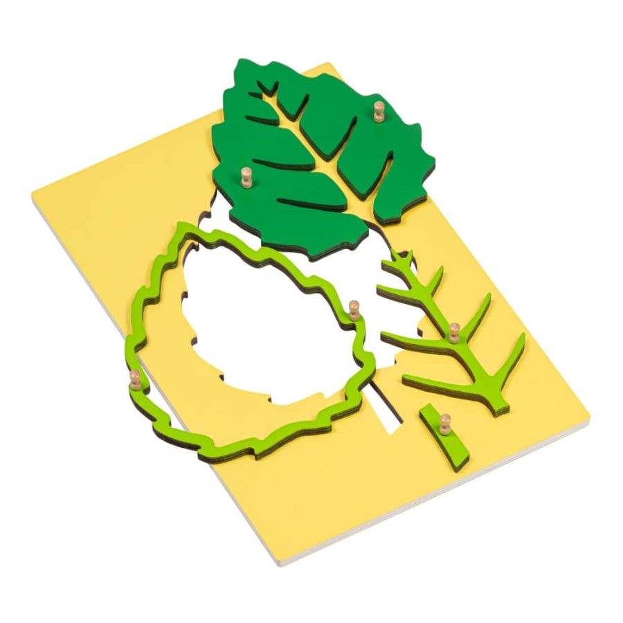 Puzzles Botaniques Montessori GAM : Lot Arbre, Feuille, Fleur - AMI