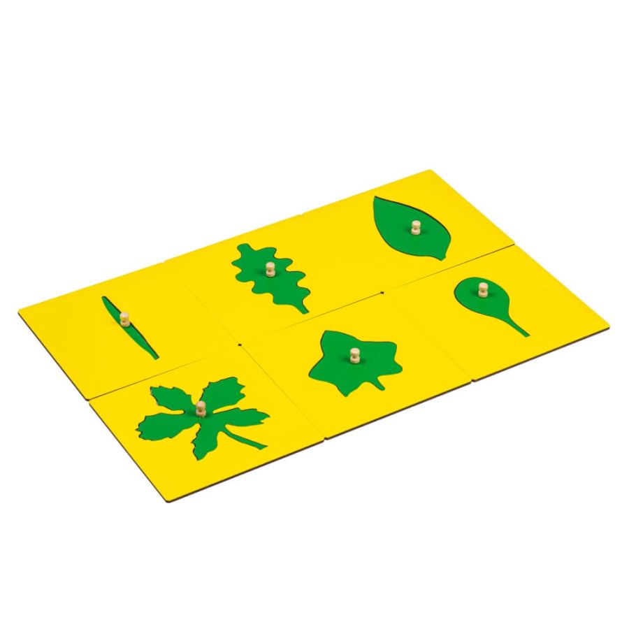 Pièces Formes de Feuilles Cabinet de Botanique Montessori - Éveil Biologique
