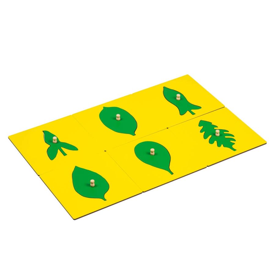 Pièces Formes de Feuilles Cabinet de Botanique Montessori - Éveil Biologique
