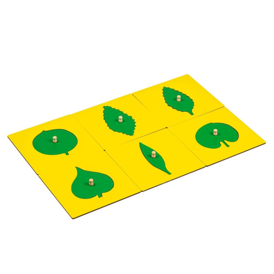 Pièces Formes de Feuilles Cabinet de Botanique Montessori - Éveil Biologique