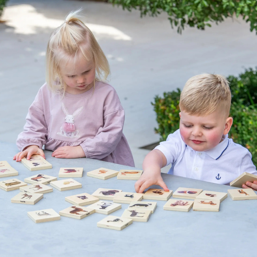 Mémo Fruits et Légumes TickiT | Développement Multiple 12m+