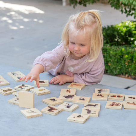 Mémo Fruits et Légumes TickiT | Développement Multiple 12m+