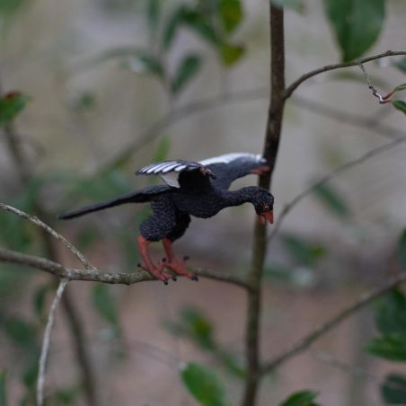 Archaeopteryx Safari Ltd 302829 | Figurine Dinosaure-Oiseau | Collection Préhistoire