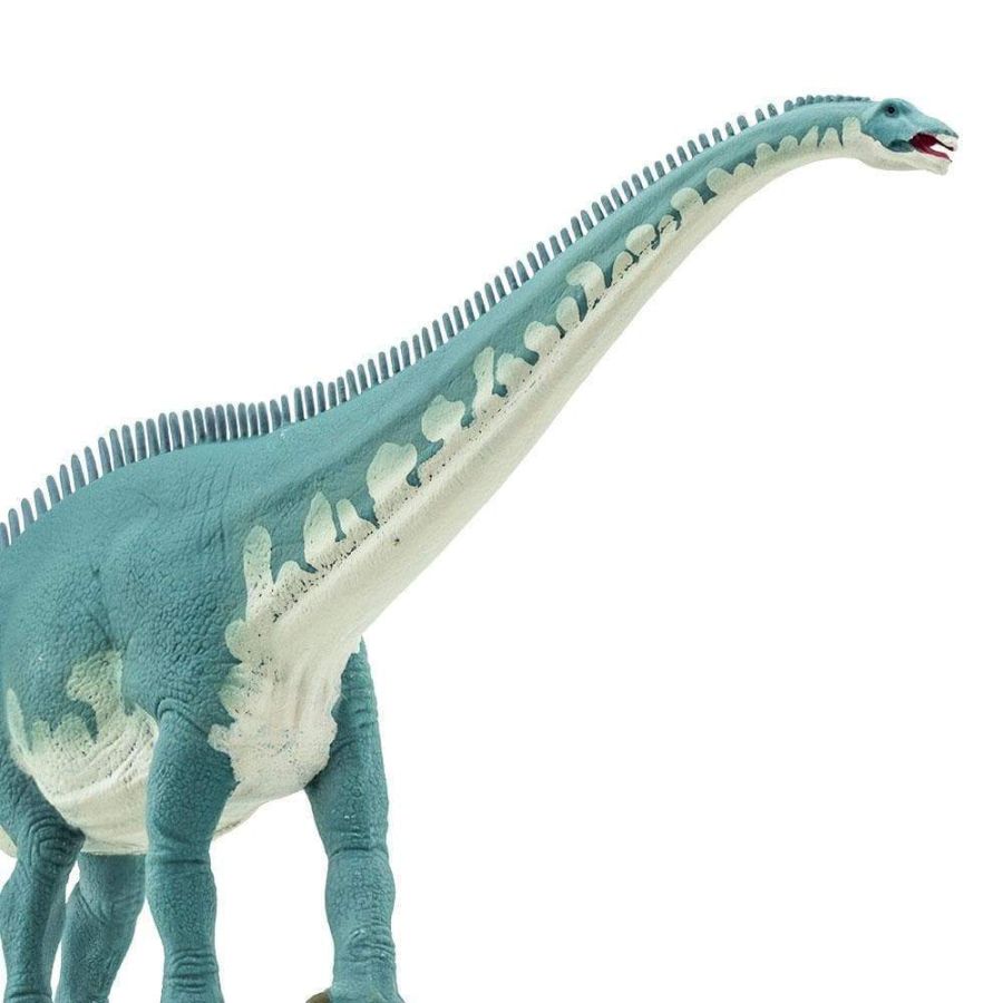 Diplodocus Safari Ltd 303629 - Figurine Dinosaure Sauropode Jouet & Collection