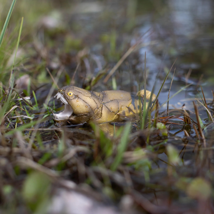 Dunkleosteus Safari Ltd | Figurine Grand Format | Collection Préhistoire XXL