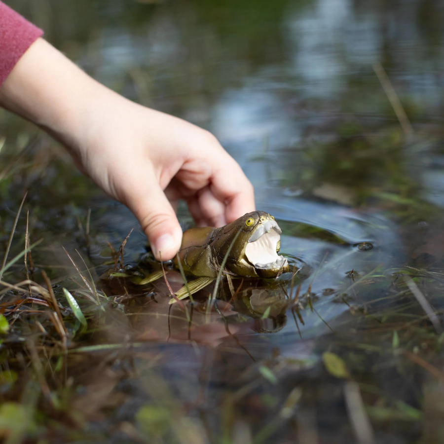 Dunkleosteus Safari Ltd | Figurine Grand Format | Collection Préhistoire XXL