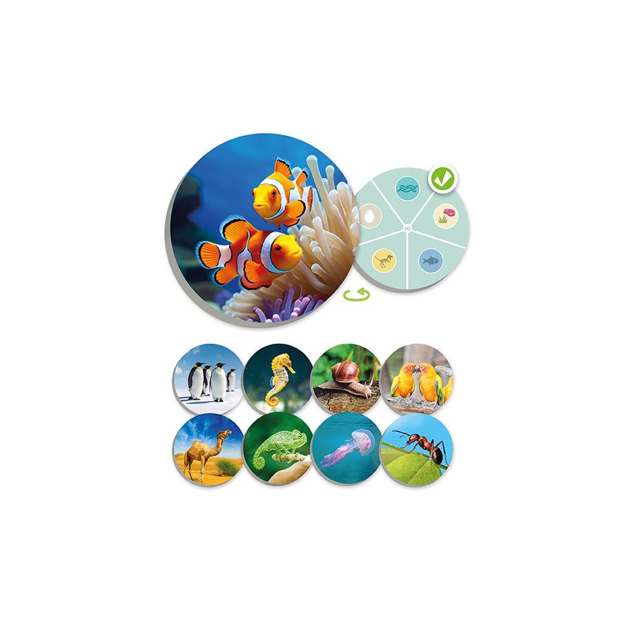 Jeu Classification Animale AKROS | Découverte Faune 5-12 ans